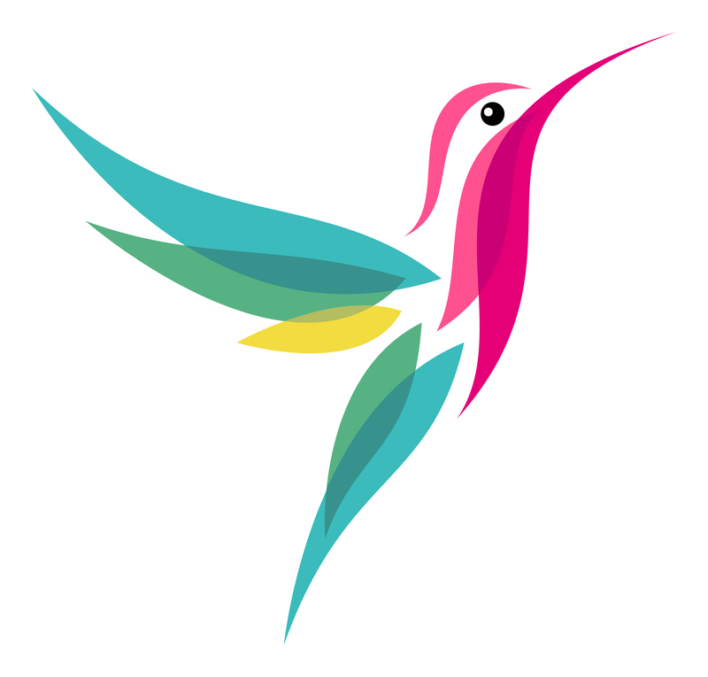 Google Hummingbird SEO