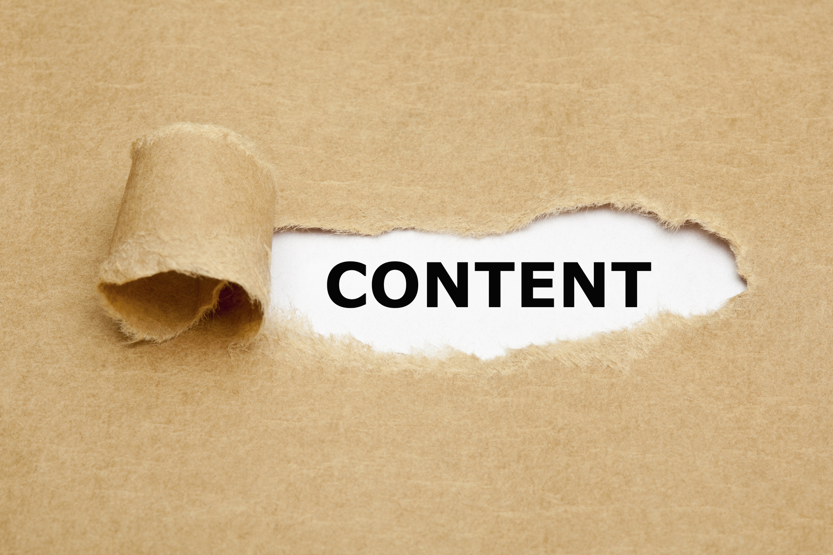 Google Panda update content